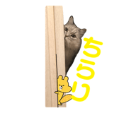 844182677
