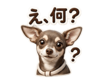 844183334