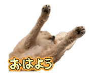 844183553