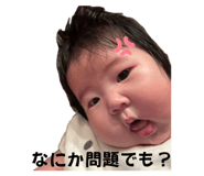 844183661