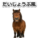 844192194