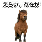 844192205