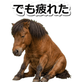 844192207