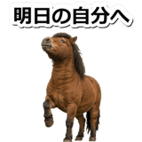 844192216