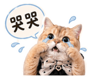 844193620