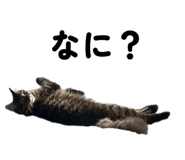844194354