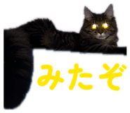 844194358