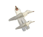 844194442