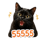 844208468