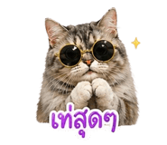 844208477