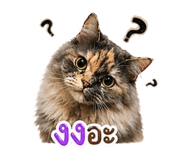 844208479