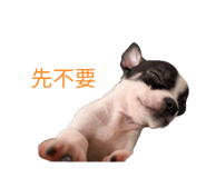 844208719