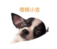 844208720