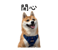 844208842