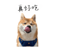 844208844