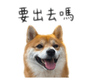 844208851