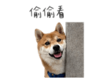844208855