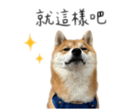 844208856
