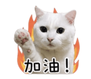 844209361