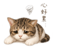 844210263