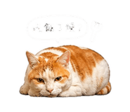 844210667
