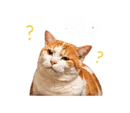 844210669