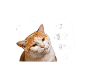844210682