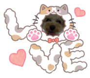 844211283