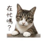 844211298