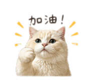 844211353
