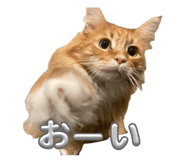 844211621