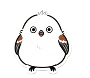 844211683