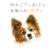 844211924