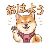 844211977