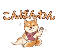 844211978