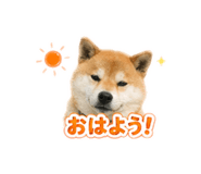 844212787