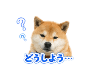 844212789