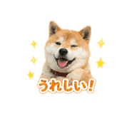 844212791