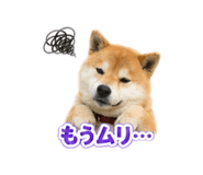 844212793