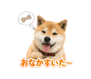 844212796