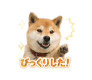 844212797