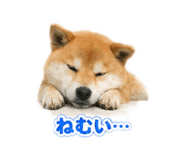 844212798