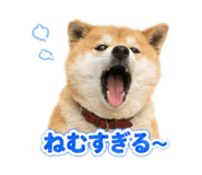 844212799