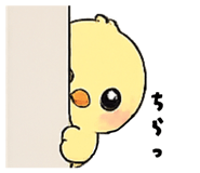 844213288