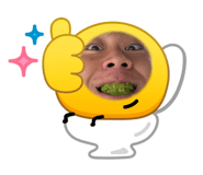 844213334