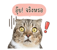 844225577