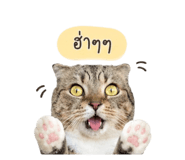 844225578