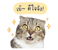 844225582