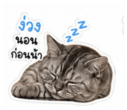 844226197