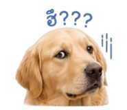 844226496